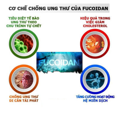 FUCOIDAN & CƠ CHẾ CHỐNG UNG THƯ