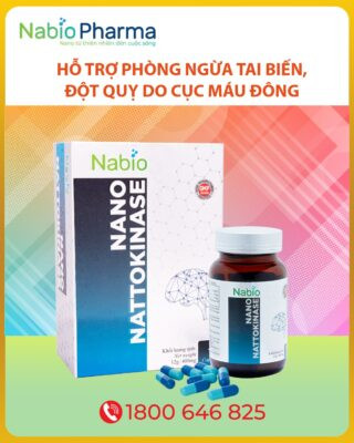 NATTOKINASE – ỨNG VIÊN SÁNG GIÁ TRONG HỖ TRỢ ĐIỀU TRỊ ĐỘT QUỴ